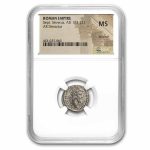 Roman Silver Denarius Septimius Severus MS NGC (193-211 AD)